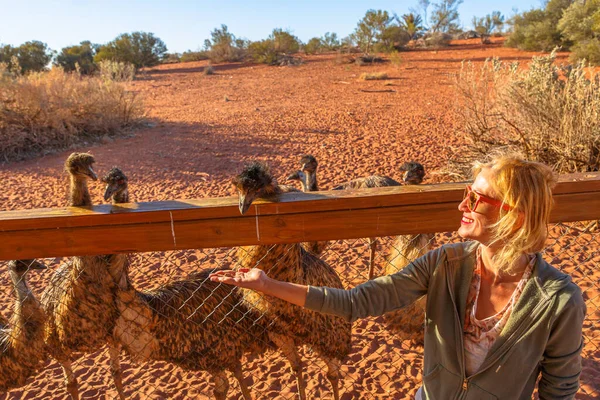Femme nourrissant Emus australien — Photo