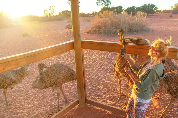 Femme nourrissant Emu d'Australie — Photo