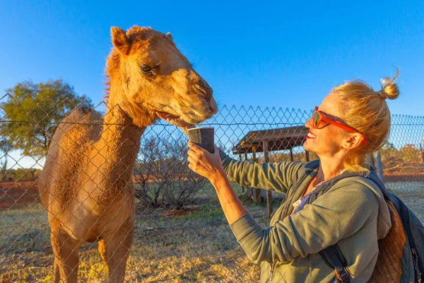 Girl with dromedary in Australia — Stock Photo, Image