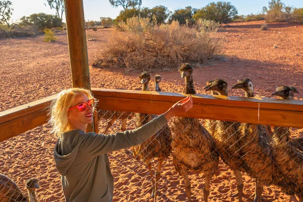 Femme nourrissant Emu d'Australie — Photo