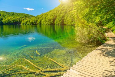 Plitvice Lakes Ulusal Parkı 'nda Jetty' yi gezdiriyorum.