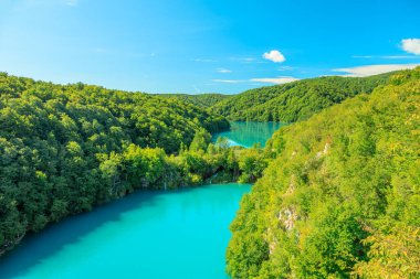 Plitvice Gölleri Ulusal Parkı 'nın şelalelerindeki panorama