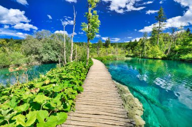 Gradinsko Jezero Gölü 'ndeki iskelede.