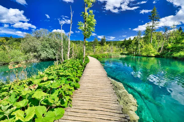 Móló a Gradinsko jezero tónál — Stock Fotó