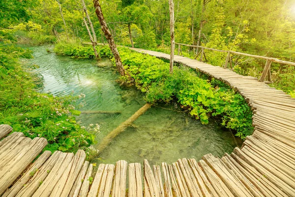 Plitvice Meren Nationaal Park zonneschijn — Stockfoto