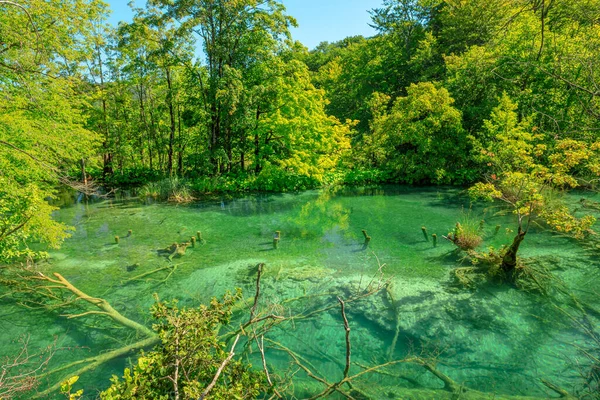 Milino tó Plitvicei-tavak Nemzeti Park — Stock Fotó