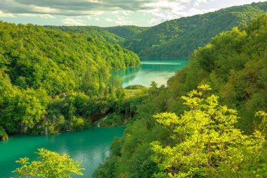 Plitvice Gölleri Milli Parkı şelaleler