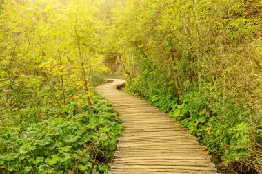 Plitvice Gölleri Ulusal Parkı