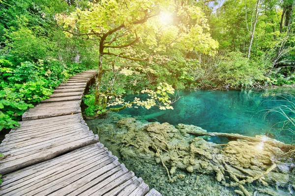 Plitvice Meren Nationaal Park zonneschijn — Stockfoto
