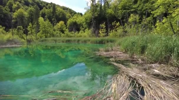 Gradinsko jezero Lake sunshine in Plitvice Lakes — Stock Video