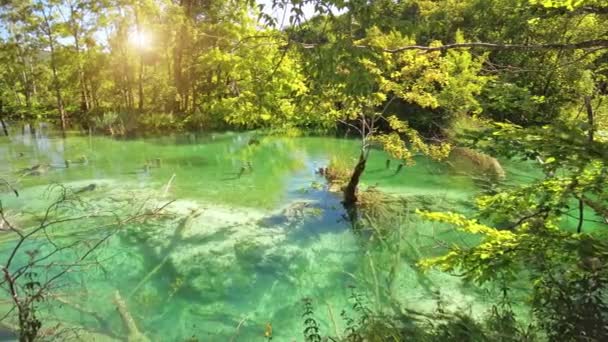 Milino Jezero sjön Plitvicesjöarna nationalpark — Stockvideo