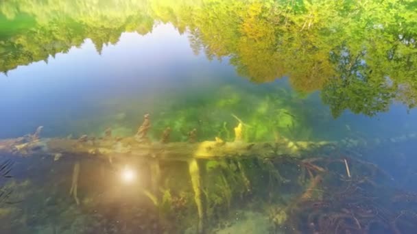 Gradinsko jezero Lake in Plitvice Lakes National Park — Stock Video