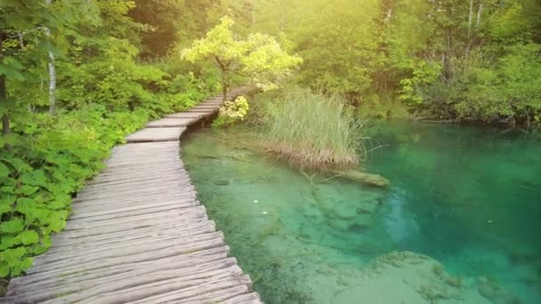 Wandelen in Milino Jezero meer — Stockvideo