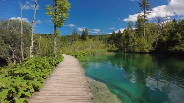 Molhe no lago de jezero Gradinsko — Vídeo de Stock