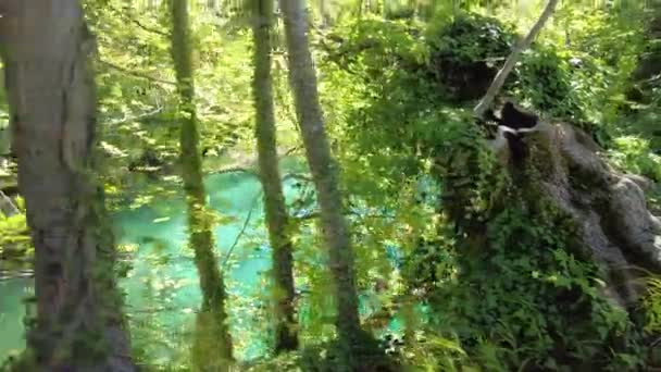 Milino Jezero e Parque Nacional dos Lagos de Plitvice — Vídeo de Stock