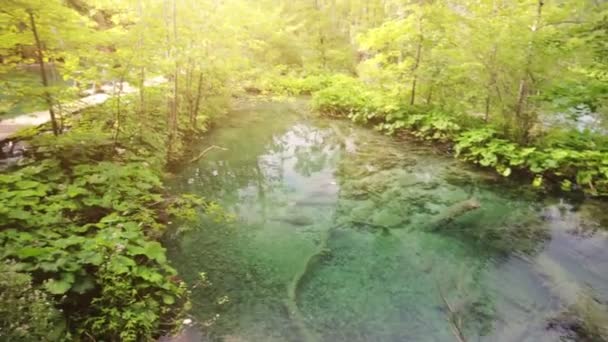 Nationalpark Plitvicer Seen Galovacki Buk Pool — Stockvideo