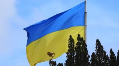 Flag of Ukraine in the wind on blue sky background