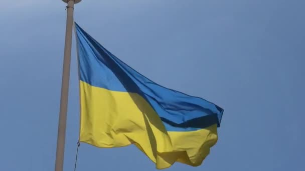 Flaga Ukrainy na tle błękitnego nieba — Wideo stockowe