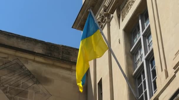 Flag of Ukraine at the window — Vídeo de stock