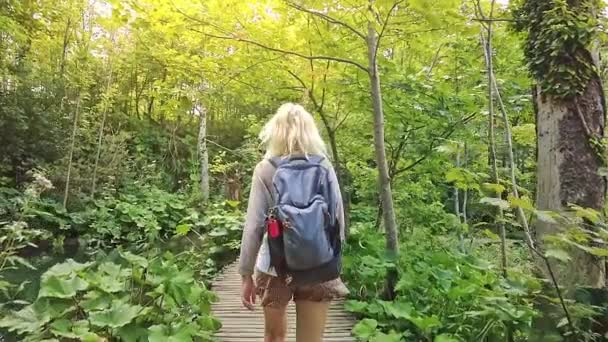 Kvinna promenader i Plitvicesjöarnas nationalpark — Stockvideo