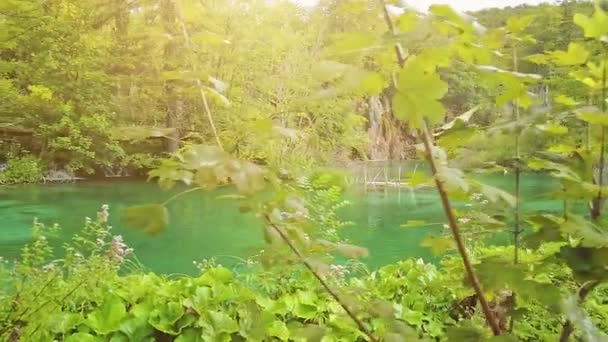 Milino Jezero waterfall in Plitvice Lakes NP — Stok video
