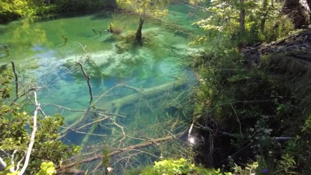 Danau Milino Jezero di Taman Nasional Plitvice Lakes — Stok Video