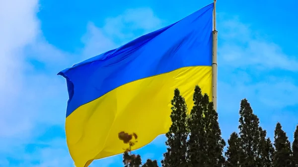 Bandera de Ucrania en el viento sobre el fondo azul del cielo — Foto de Stock