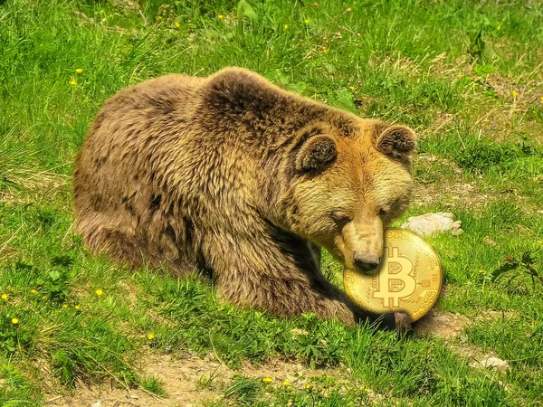 Медвежьи сценарии по цене биткойна — стоковое фото