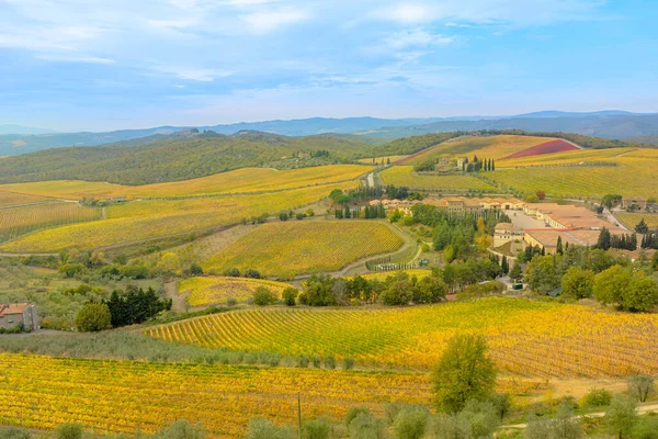 Toscaanse Wijngaard Een Wijnbouwdorp Radda Chianti Italië Panoramisch Uitzicht Terrasvormige — Stockfoto