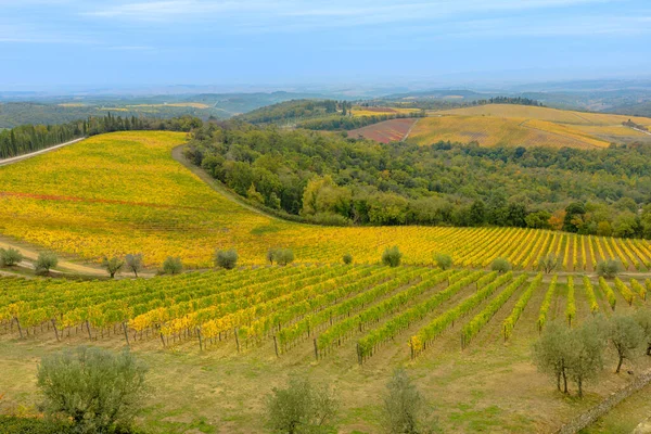 Flyglandskap Terrasserade Vingårdar Toscana Vinodlingsby Radda Chianti Toscana Emilian Apenniner — Stockfoto