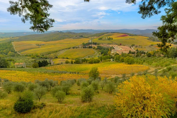 Landschap Bij Het Kasteel Van Brolio Met Terrasvormige Wijngaarden Van — Stockfoto
