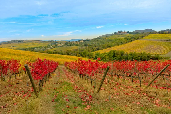 Herfst Landschap Van Het Kasteel Van Brolio Met Chianti Wijngaarden — Stockfoto