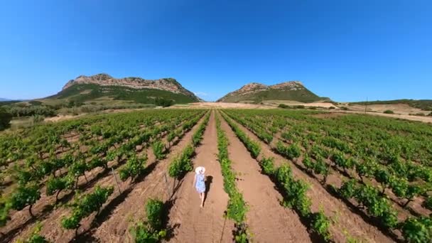 Backside Aerial View Woman Rows Grapevine Wine Corsica France Corsica — Stockvideo