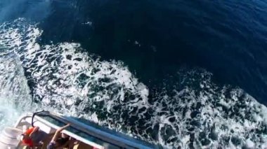 Korsika, Fransa - Haziran 2022: Fransa 'nın Korsika kentindeki Ajaccio kasabasından Sanguinaires adalarına turistik gezi. Akdeniz kıyısında turistlerle dolu Nave-Va yolcu gemisi