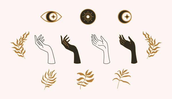 Un ensemble de modèles pour les logos dans un style linéaire minimal. Ensemble mystique de soleil, feuilles, mains, yeux, lune et étoile. — Image vectorielle