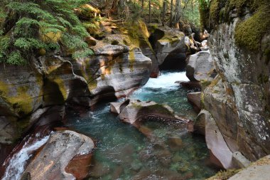 Avalanche Lake Trail in Glacier National Park USA