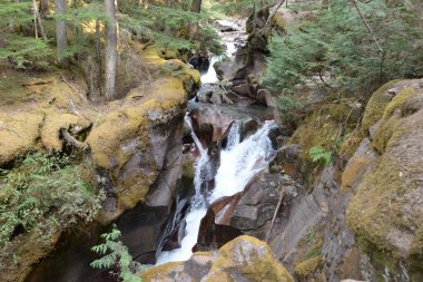 Avalanche Lake Trail in Glacier National Park USA
