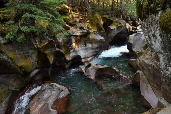 Avalanche Lake Trail in Glacier National Park USA