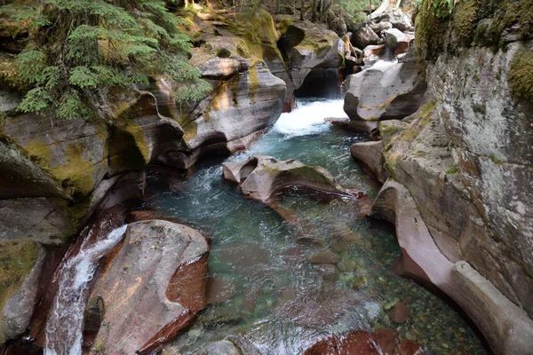 Avalanche Lake Trail in Glacier National Park USA