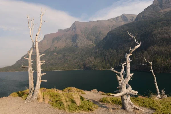 Saint Mary Lake Trail Glacier National Park Usa — Stok fotoğraf