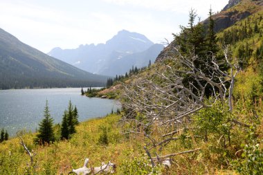 Many Glacier trail in Glacier National Park USA