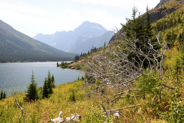 Many Glacier trail in Glacier National Park USA