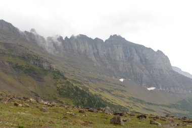 Highline Trail in Glacier National Park USA