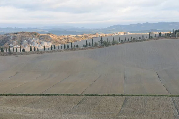 Landscape Tuscany Fields Italy — ストック写真