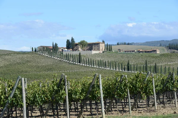 Landscape Tuscany Fields Italy — ストック写真