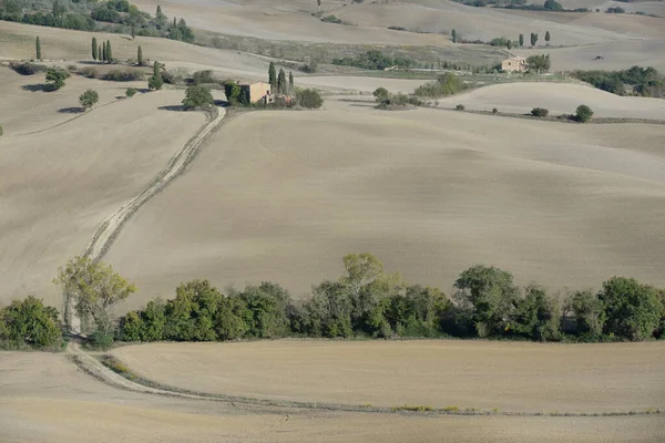 Landscape Tuscany Fields Italy — ストック写真