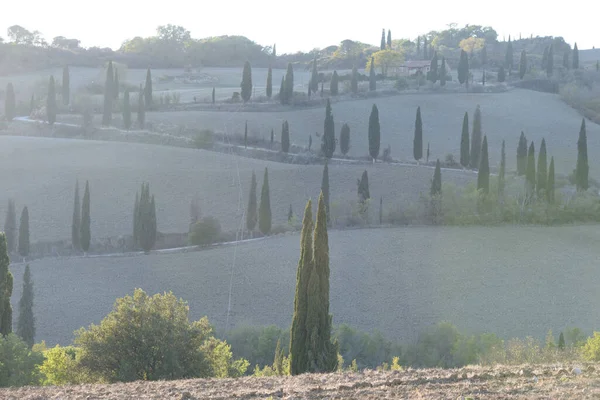 Landscape Tuscany Fields Italy — ストック写真