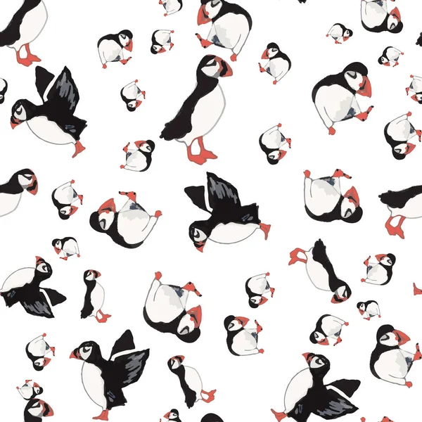 Vector white background ocean seabird, arctic birds, puffins. Seamless pattern background — Stock Vector