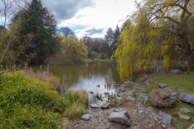 Güzel Britanya Kolombiyası Kanada 'da Doğa 