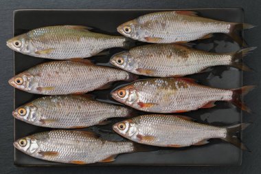 Siyah tabakta taze balık, vejetaryen yiyecekler, sağlıklı beslenme, basitlik, yakın çekim, yukarıdan görüş.